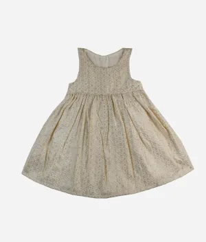 Dull Gold Sleeveless Fit and Flare Baby Dress